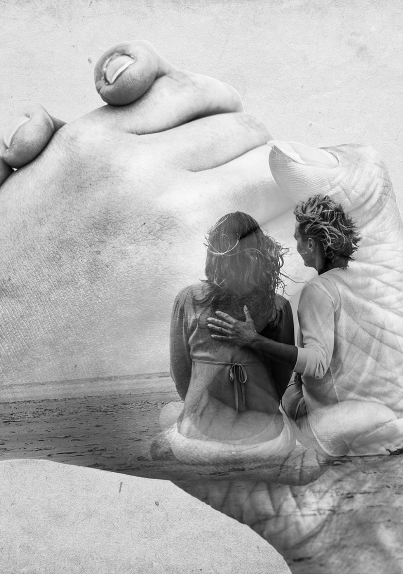 Relatie-ontwikkelingsmodel